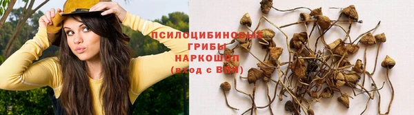 эйфоретик Заволжье