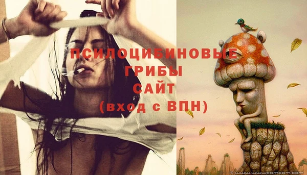 эйфоретик Заволжье