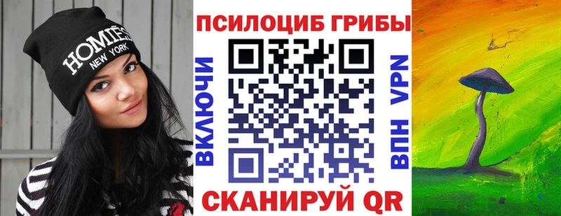 Псилоцибиновые грибы GOLDEN TEACHER  Купить  Калач-на-Дону 